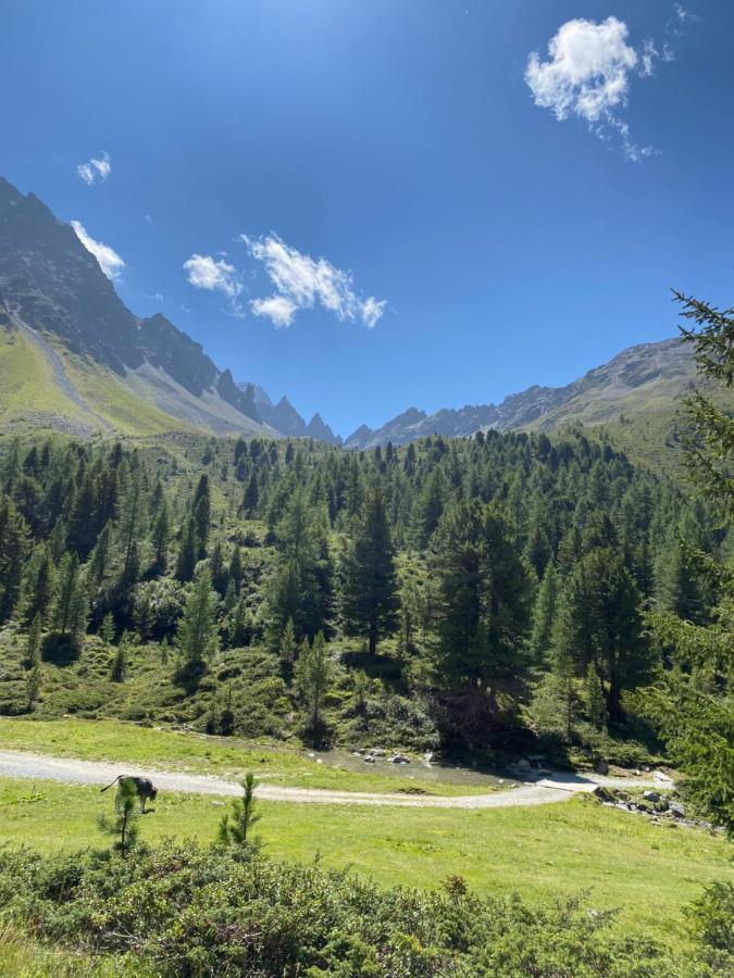 Apart Wiesenplatzl كاونرتال المظهر الخارجي الصورة