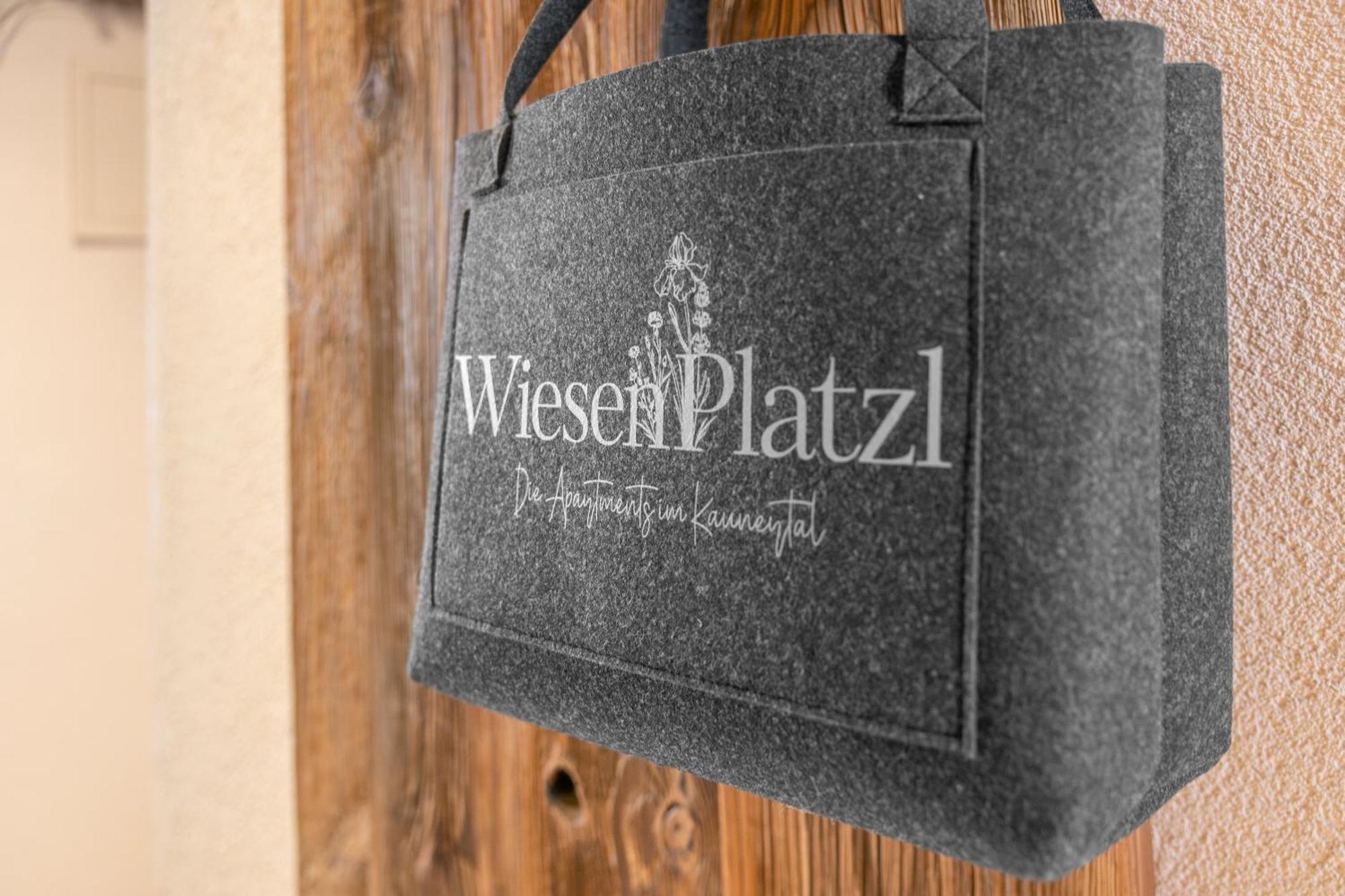 Apart Wiesenplatzl كاونرتال المظهر الخارجي الصورة